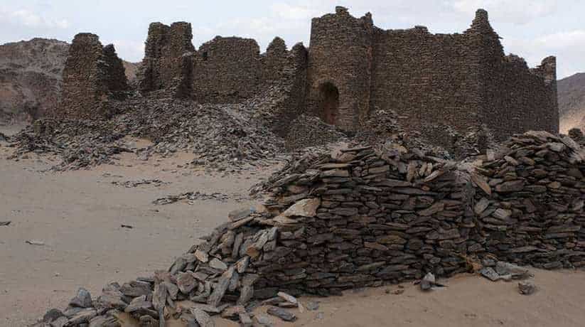 Wadi El Allaqi Aswan