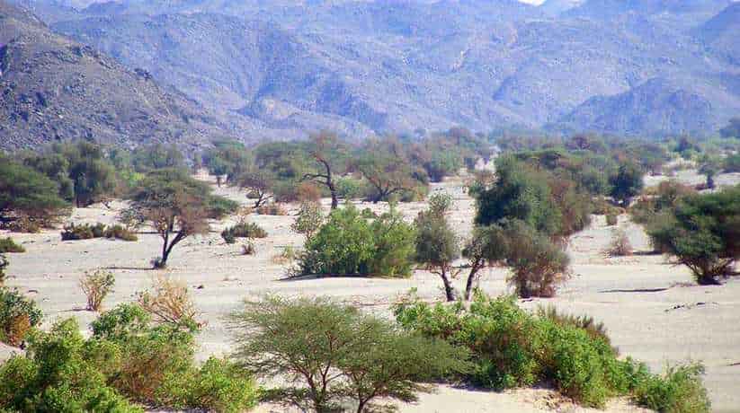 Aswan National Parks