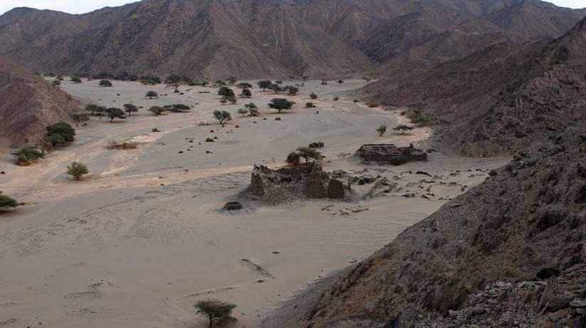 Aswan National Parks