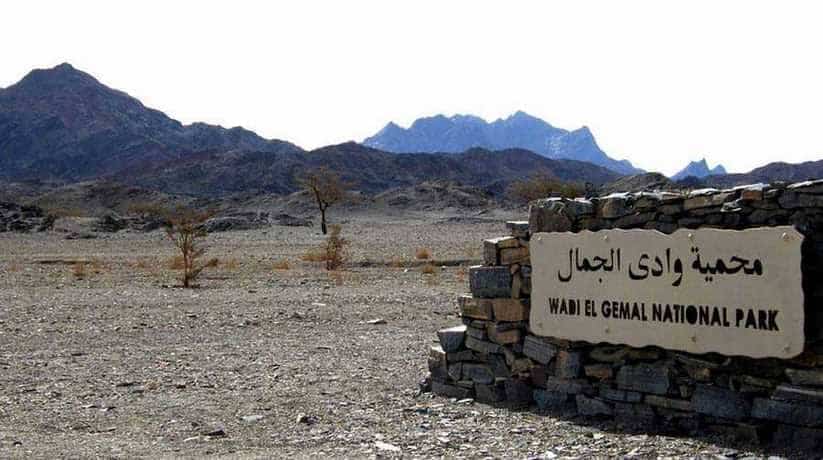 Wadi El Gemal National Park