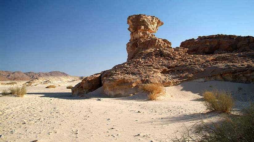 Wadi Ghazala Dahab Egypt