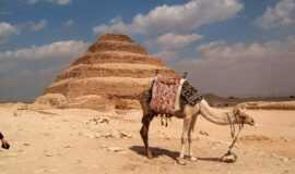 Over day tour to Cairo from Alexandria