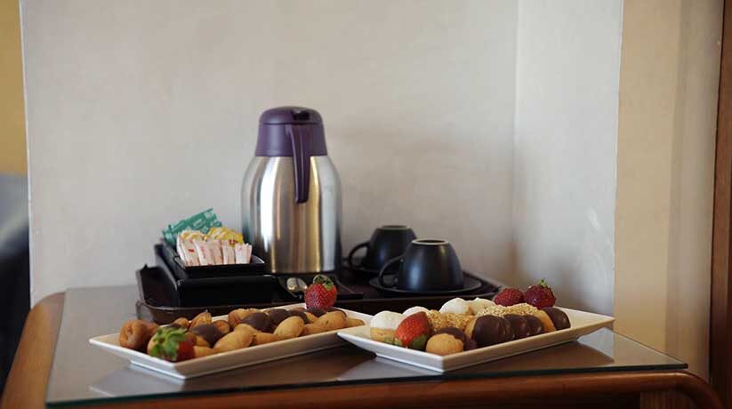 La Terrasse Nile cruise single cabin